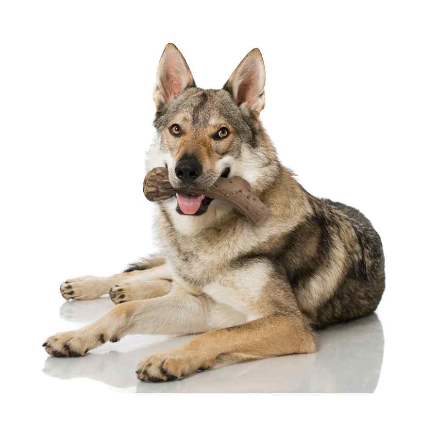Nylabone Cuerno Power Chew, Sabor Venado L, , large image number null